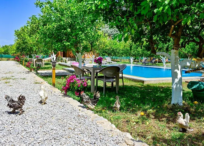 Kaptan Ramo מלון דירות